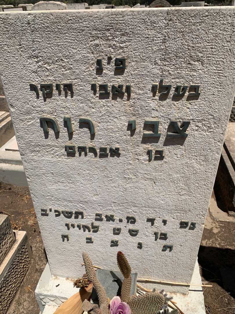 קברו של צבי רוח. תמונה 2