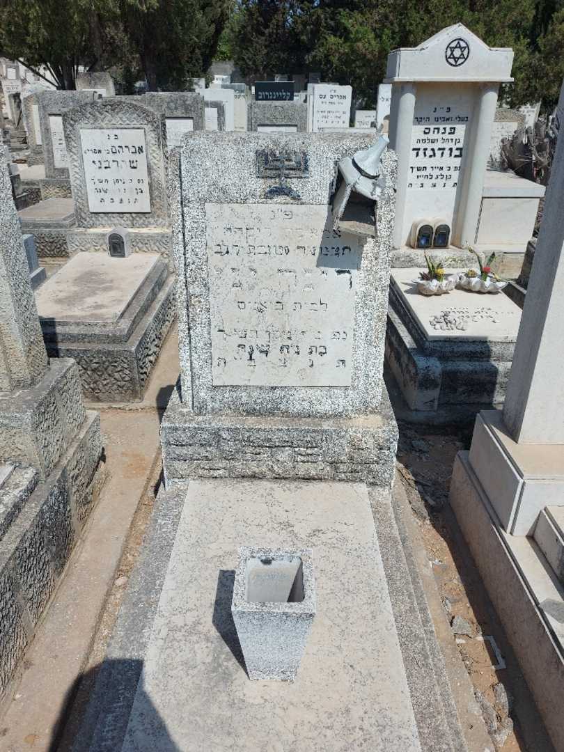 קברו של ריגה יני