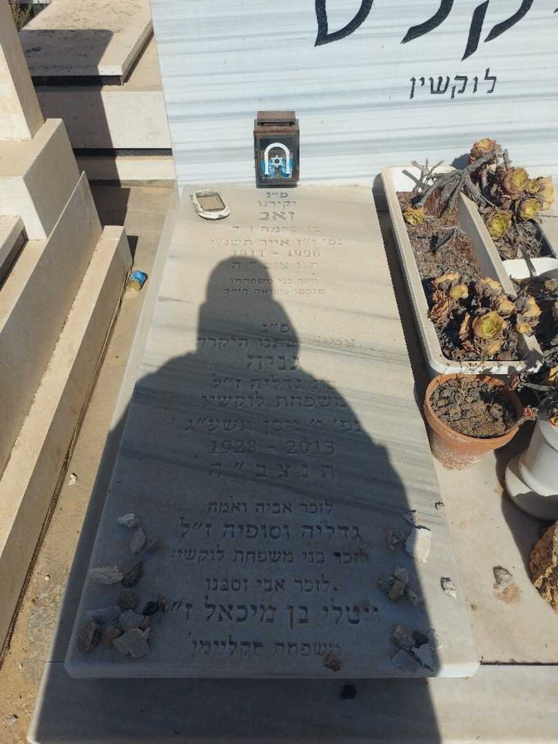 קברו של גניה ביקלס לוקשין. תמונה 2