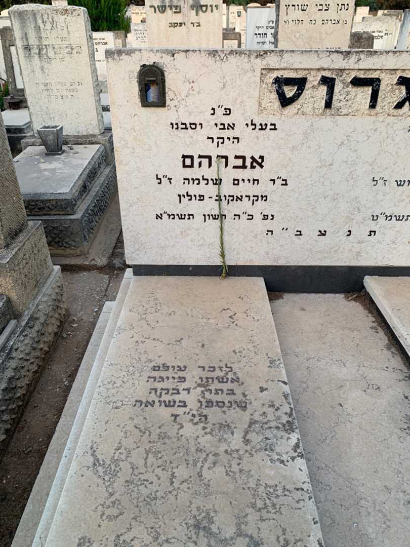 קברו של אברהם גרוס. תמונה 2