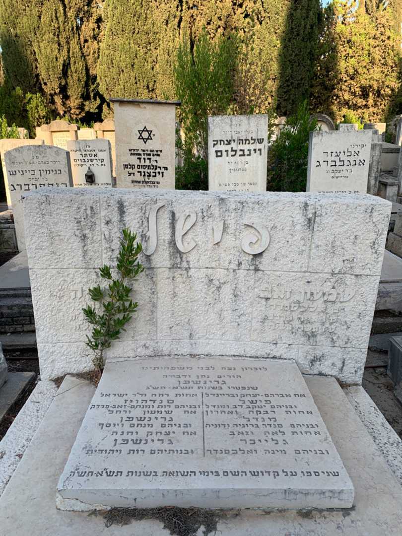 קברו של שמעון זאב פישל. תמונה 1