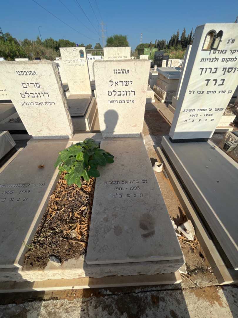 קברו של ישראל רוזנבלט. תמונה 2