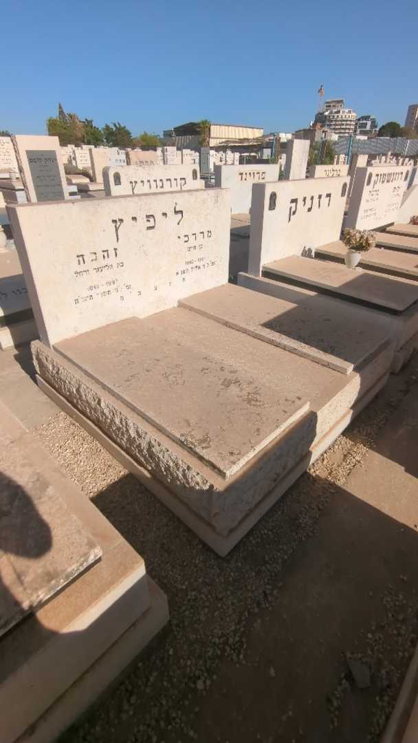 קברו של ליפיץ זהבה. תמונה 1