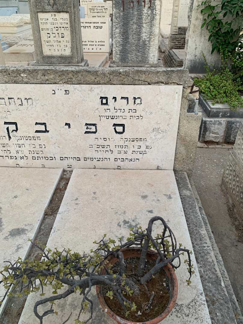 קברו של מרים ספיבק. תמונה 2