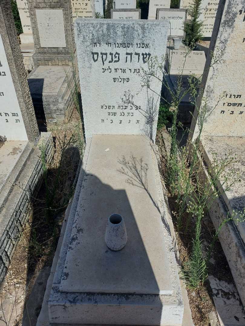 קברו של שרה פנקס