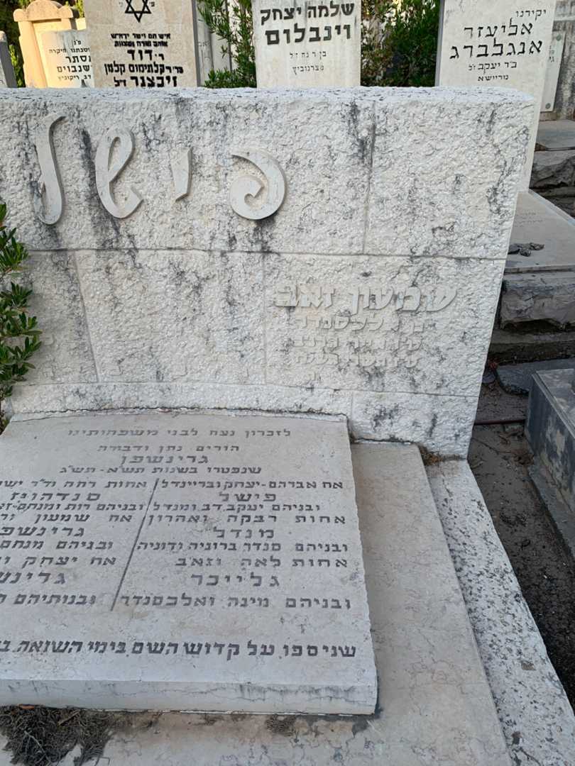 קברו של שמעון זאב פישל. תמונה 2