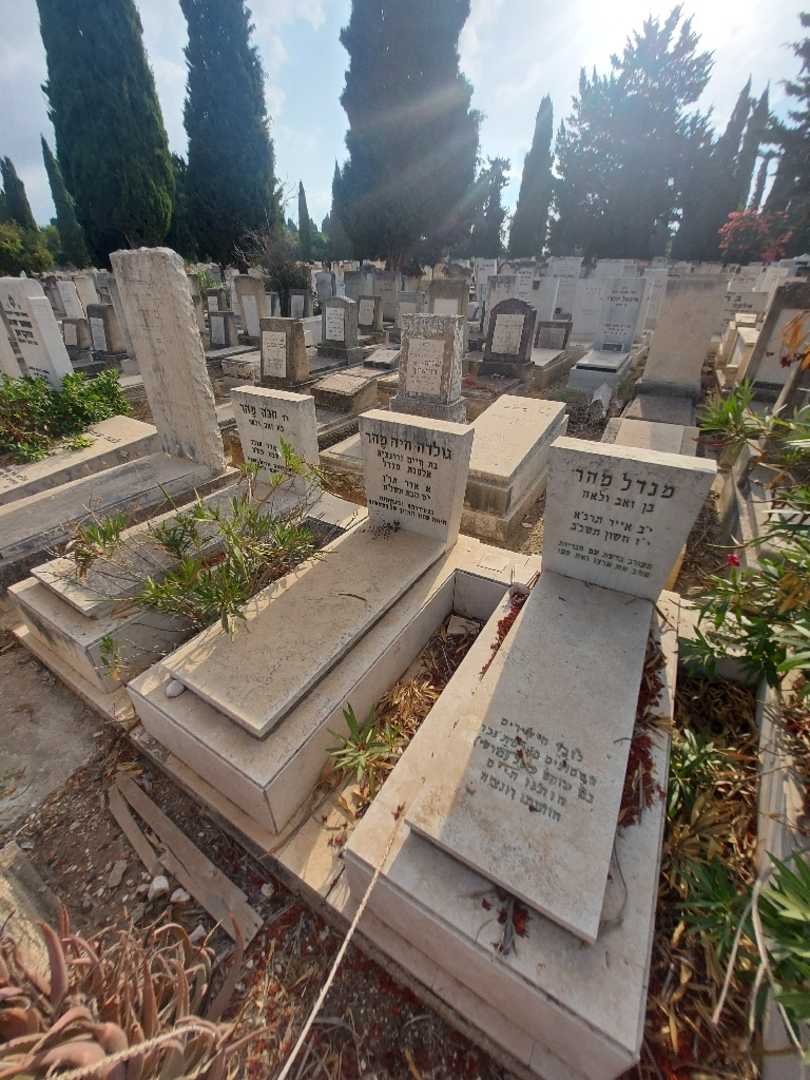 קברו של ירוחם "בורשי" פישל. תמונה 2
