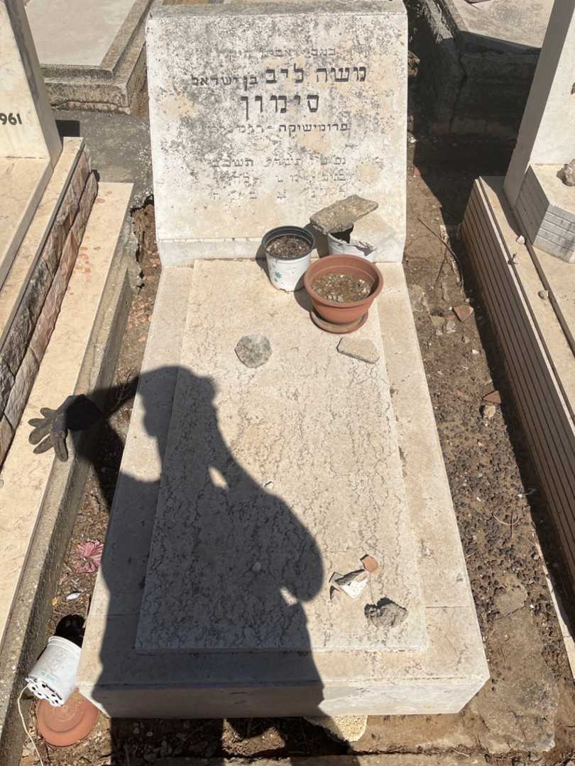 קברו של משה ליב סימון