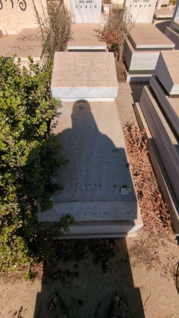 קברו של שולמית ענטר