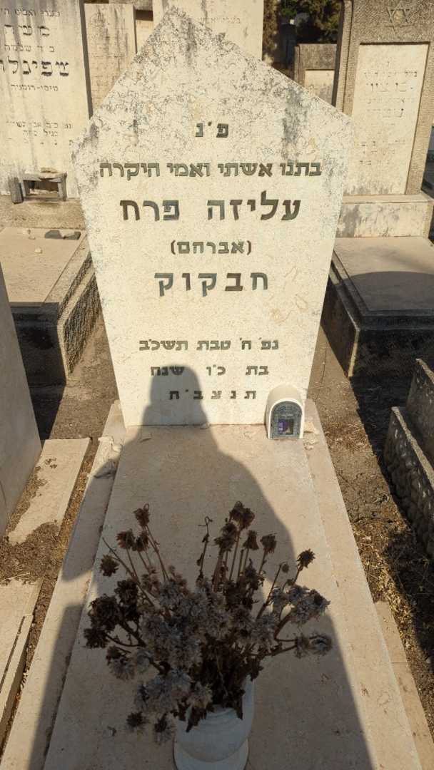 קברו של עליזה פרח "אברהם" חבקוק