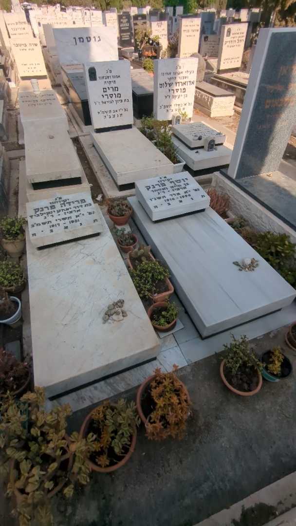 קברו של פרידה פרנק. תמונה 2