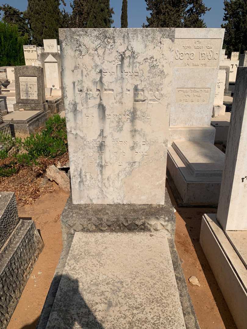 קברו של צבי רוזן