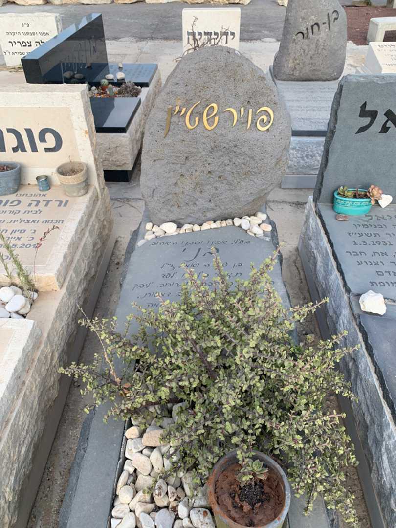 קברו של בני פוירשטיין. תמונה 1