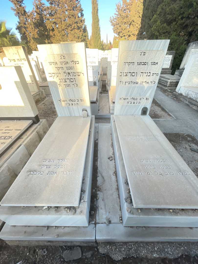 קברו של שמואל יעקב וסרצוג. תמונה 1