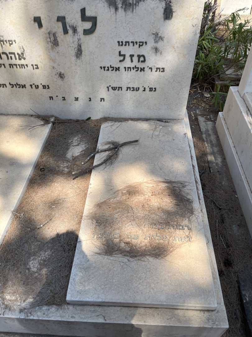 קברו של מזל לוי. תמונה 1