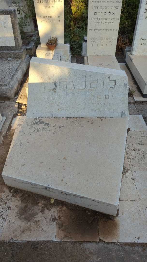 קברו של דינה לוסטגרטן. תמונה 1