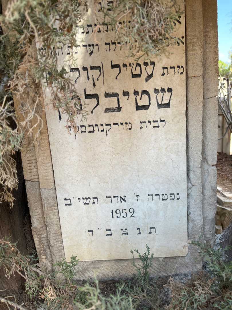 קברו של עטיל "קוליא" שטיבלמן. תמונה 2