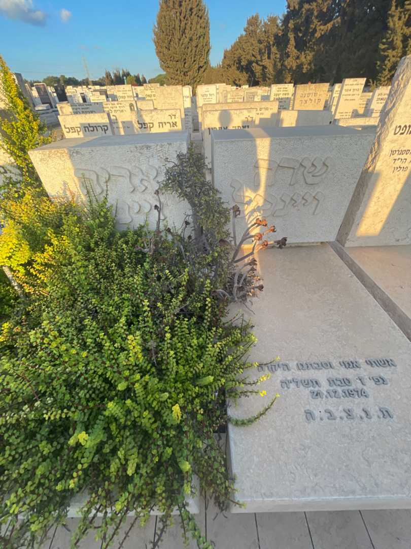קברו של שרה ויינטל. תמונה 1