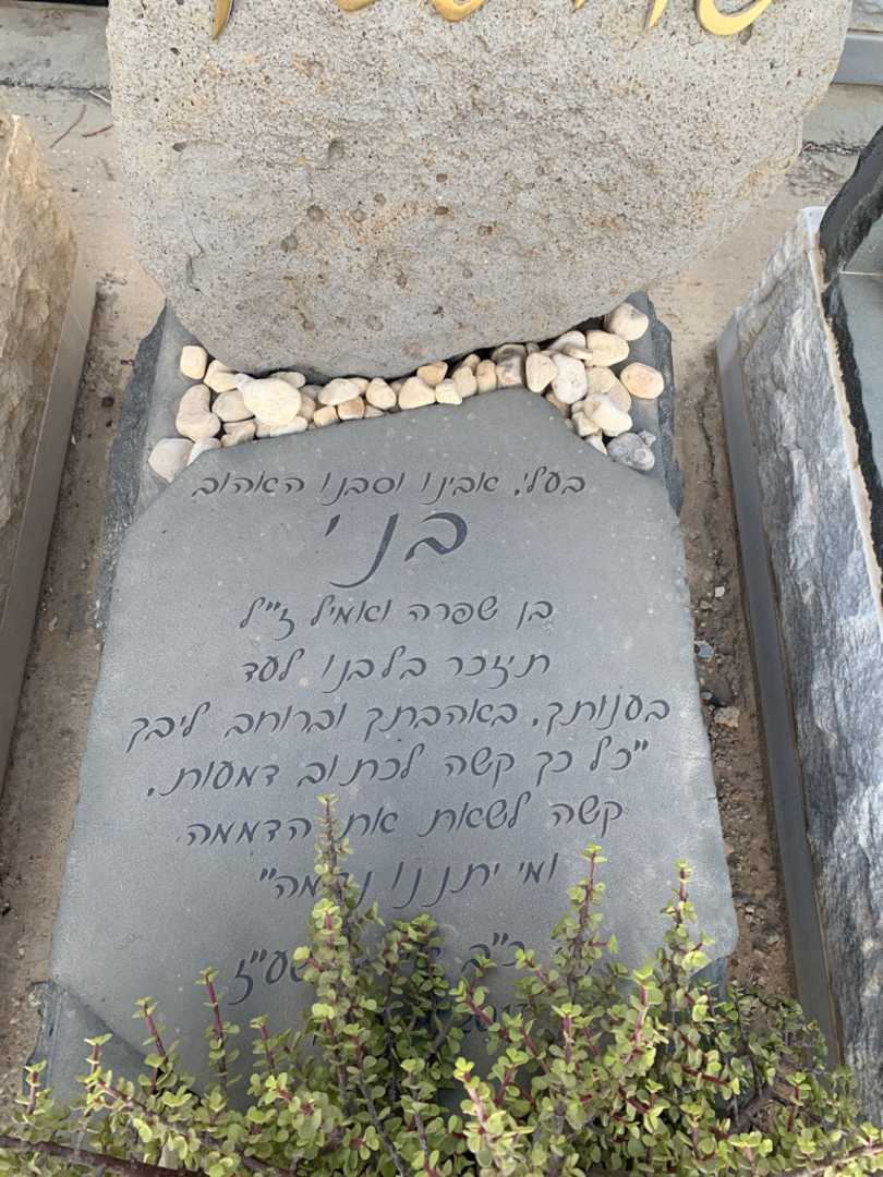 קברו של בני פוירשטיין. תמונה 2