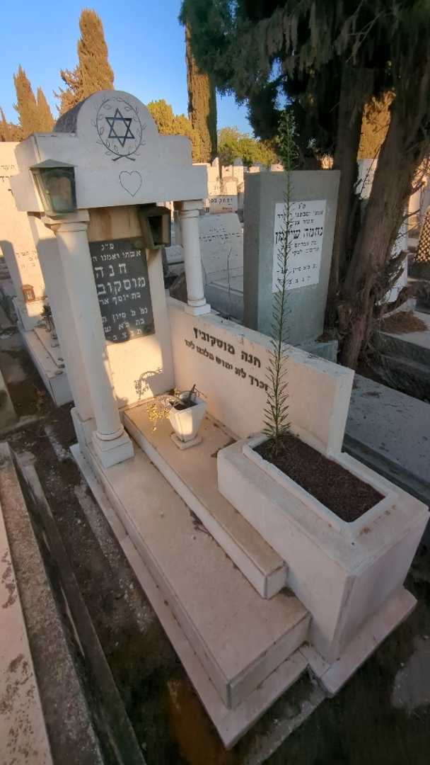 קברו של חנה מוסקוביץ. תמונה 1