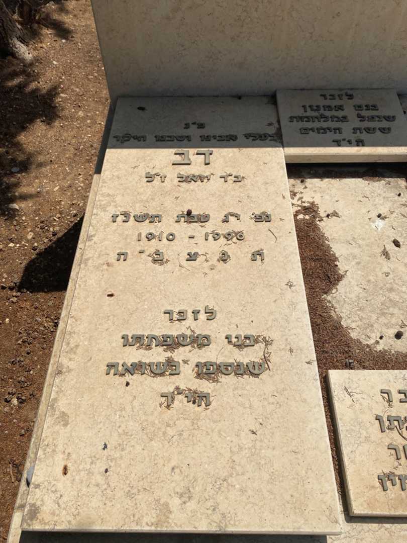 קברו של אמנון כהן. תמונה 2