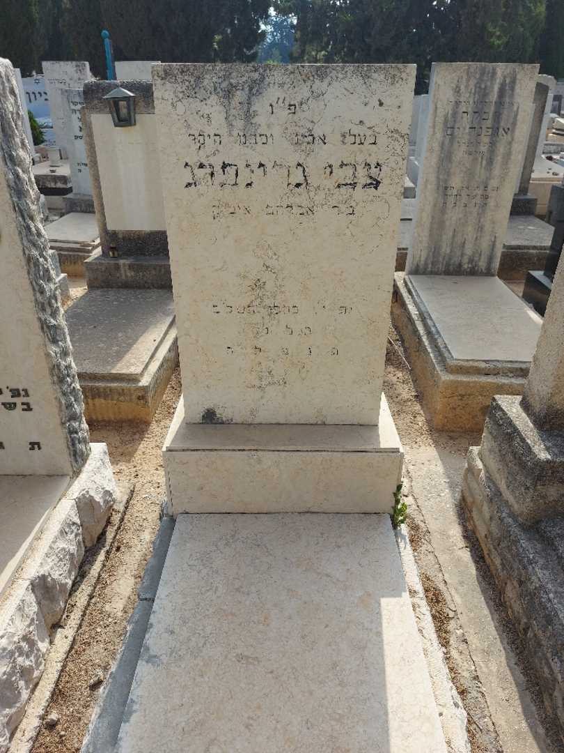 קברו של צבי גרינברג