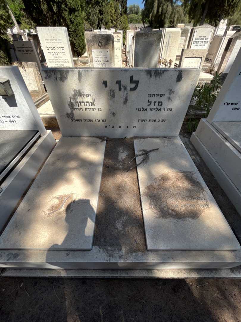 קברו של מזל לוי. תמונה 2