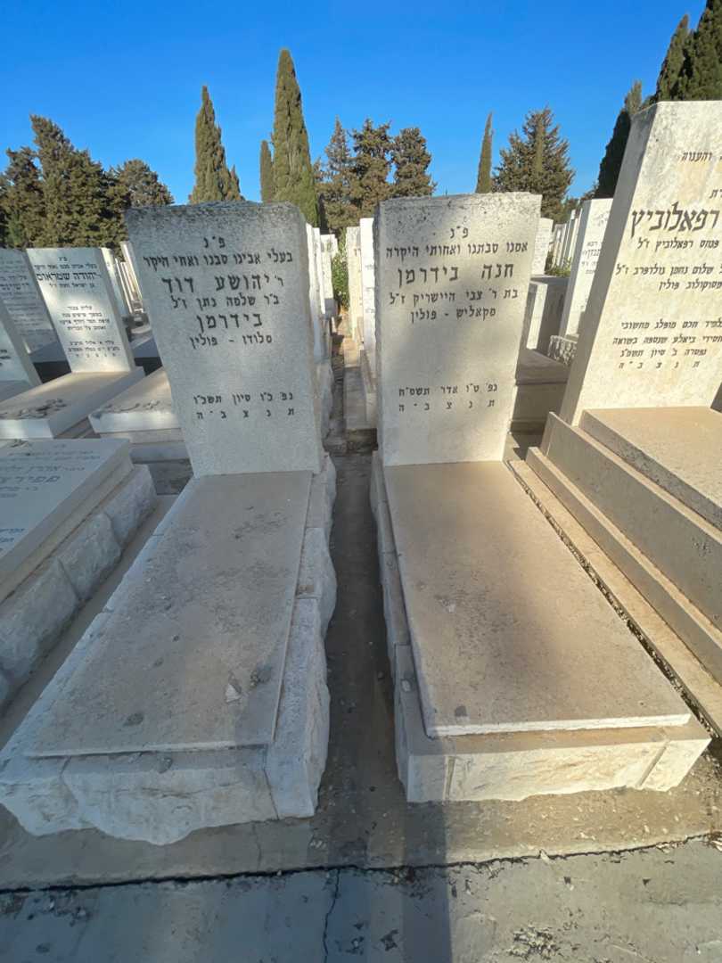 קברו של יהושע דוד בידרמן. תמונה 1