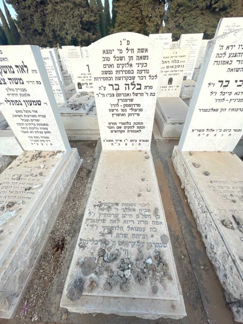 קברו של הרשל "אברהם צבי" שרפהרץ. תמונה 2