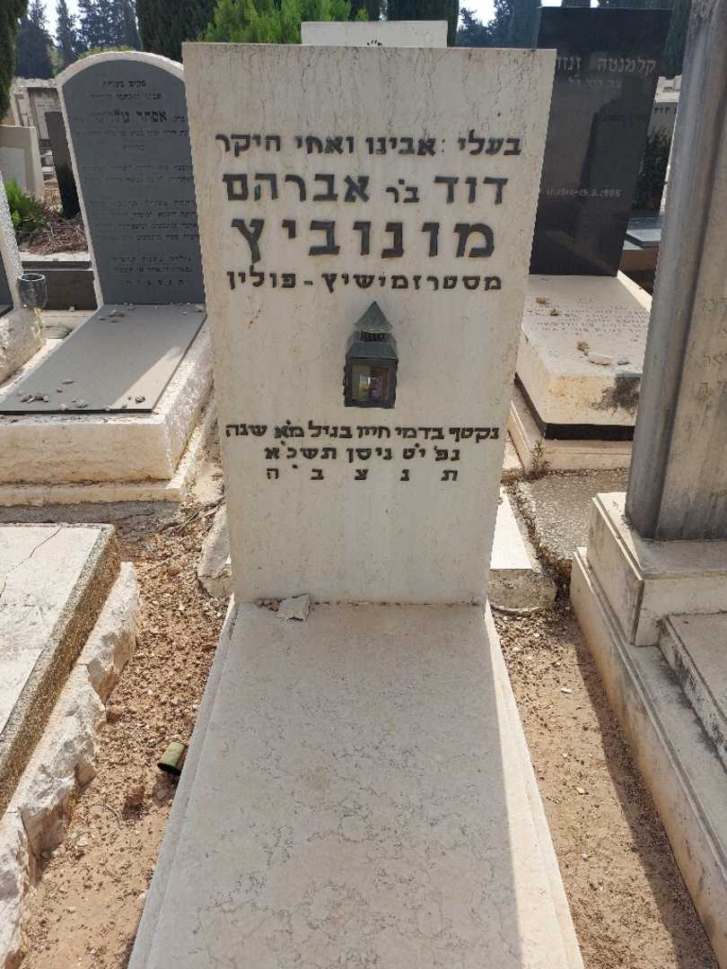 קברו של דוד מונוביץ