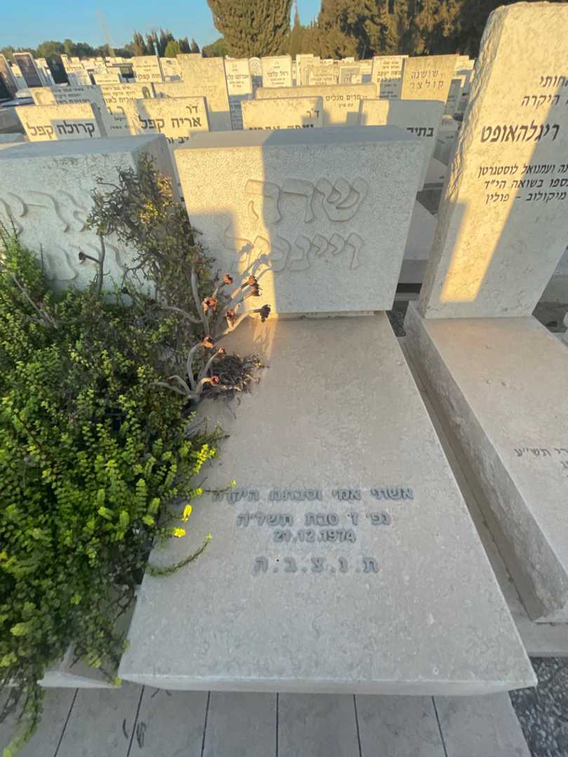 קברו של שרה ויינטל. תמונה 2