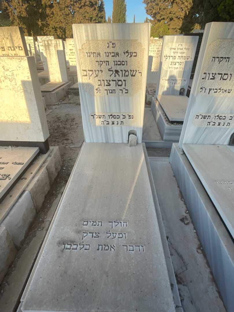 קברו של שמואל יעקב וסרצוג. תמונה 2
