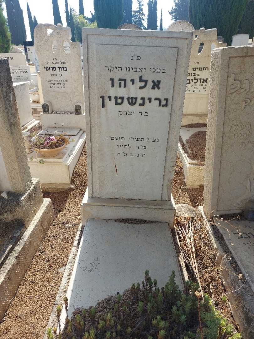 קברו של אליהו גרינשטין