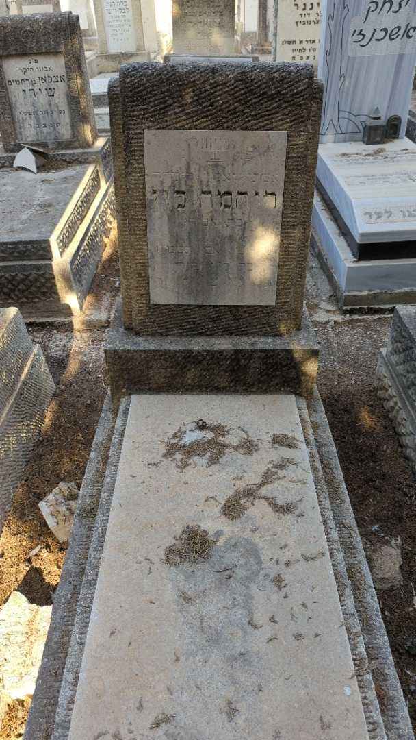 קברו של רוחמה לוי