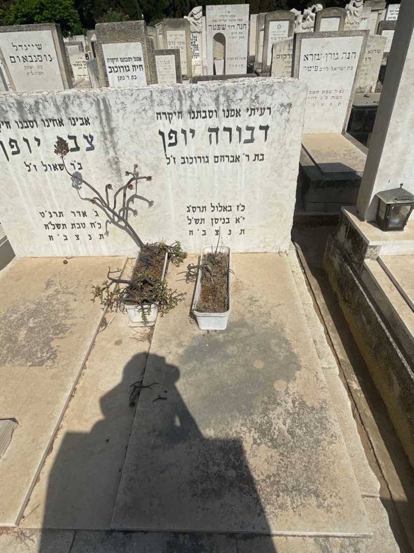 קברו של דבורה יופן. תמונה 2