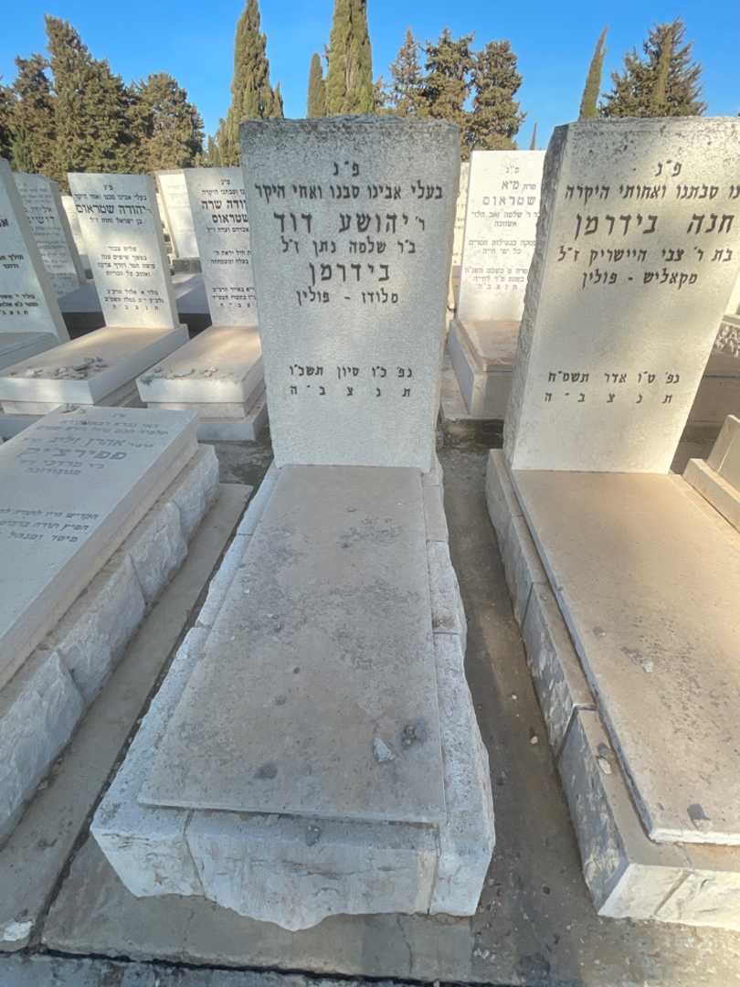 קברו של יהושע דוד בידרמן. תמונה 2
