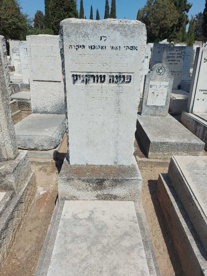 קברו של פנינה טורקניץ