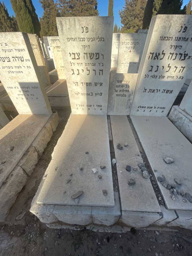 קברו של משה צבי הרלינג. תמונה 2