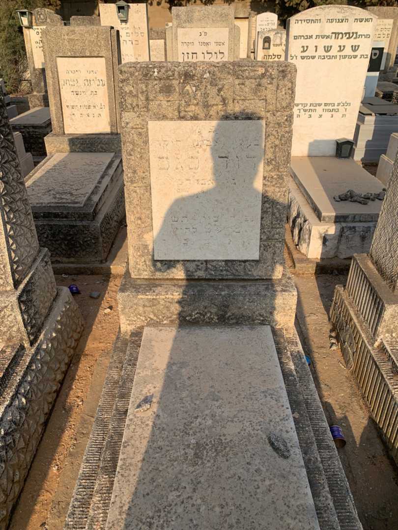 קברו של דוד סגס