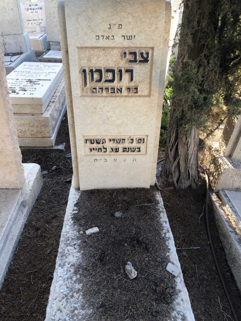 קברו של צבי רוכמן