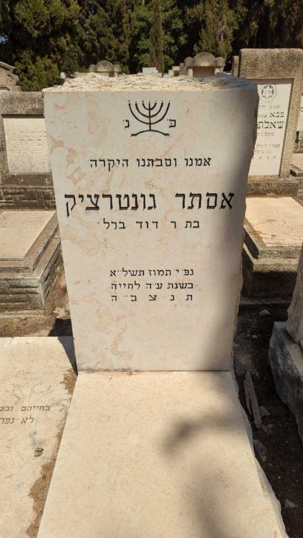 קברו של אסתר גונטרציק. תמונה 2