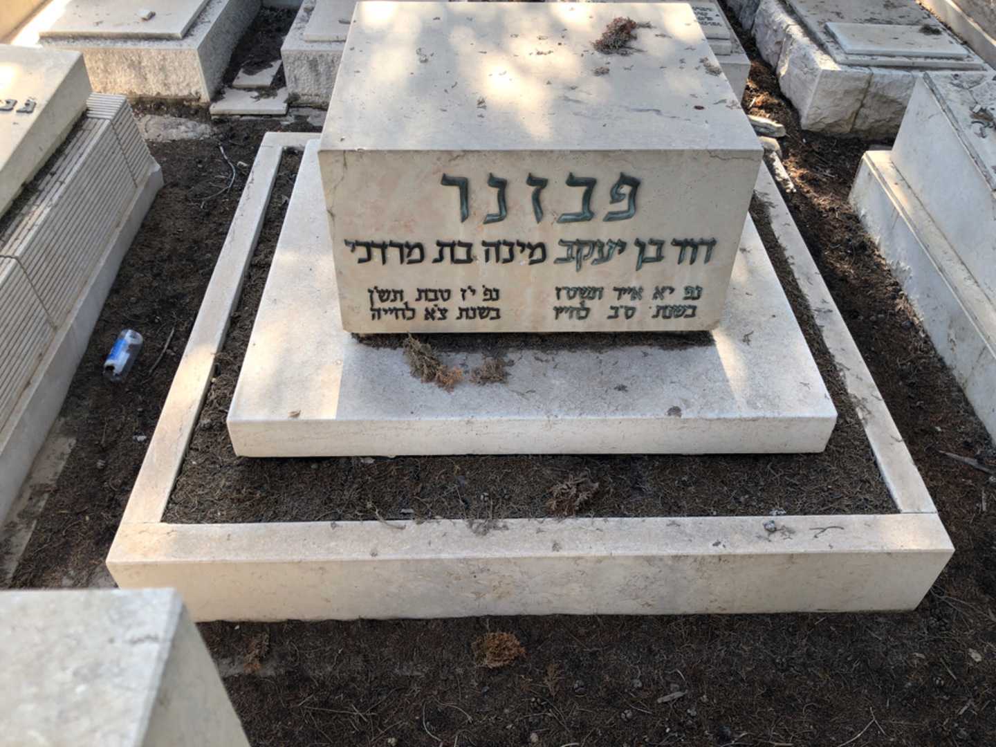 קברו של מינה פבזנר. תמונה 2
