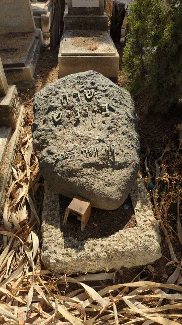 קברו של שרה בייניש