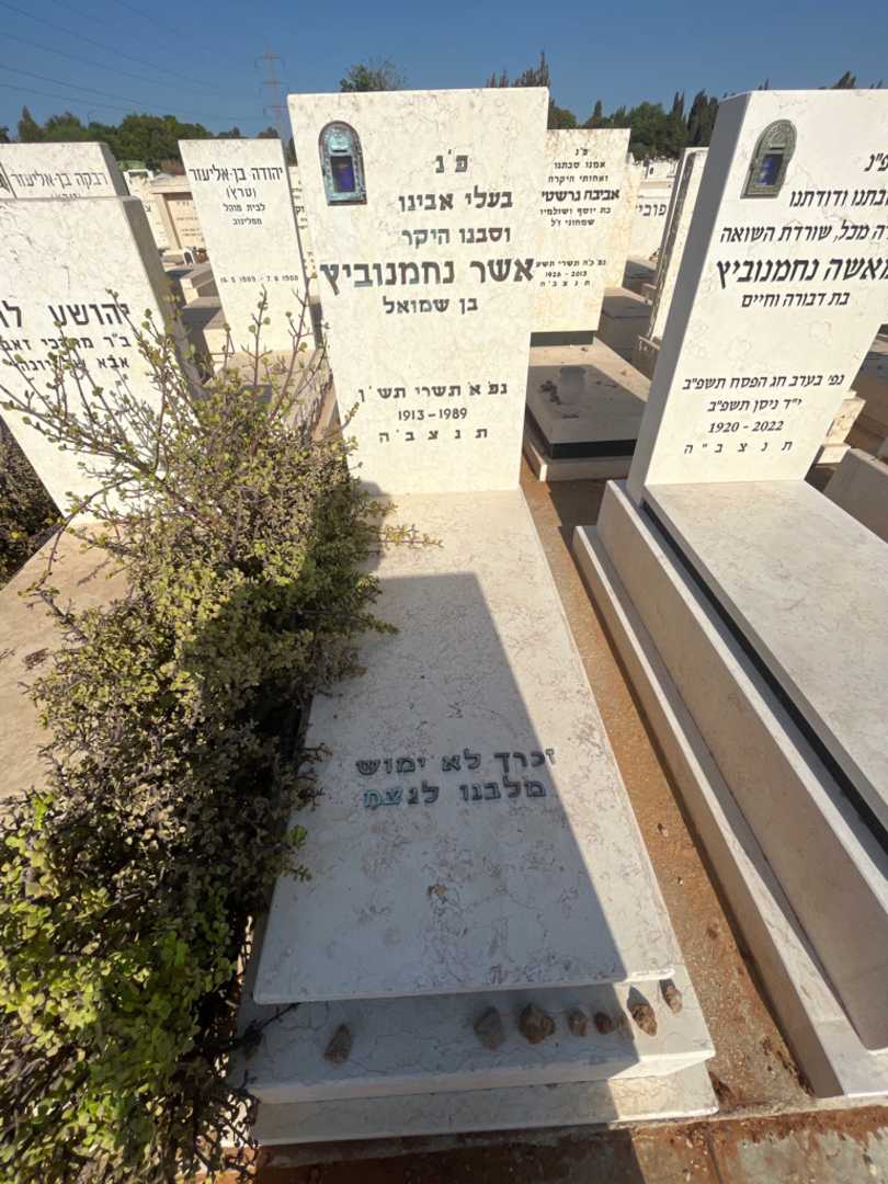 קברו של אשר נחמנוביץ. תמונה 1