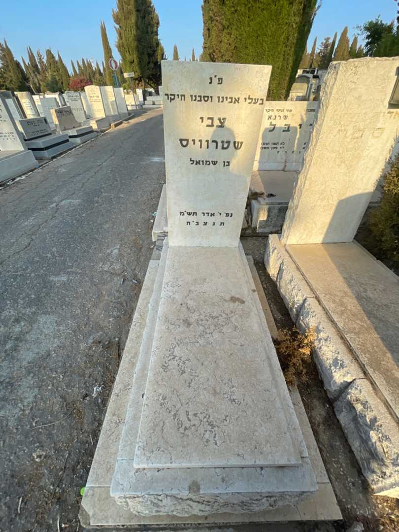 קברו של צבי שטרוויס