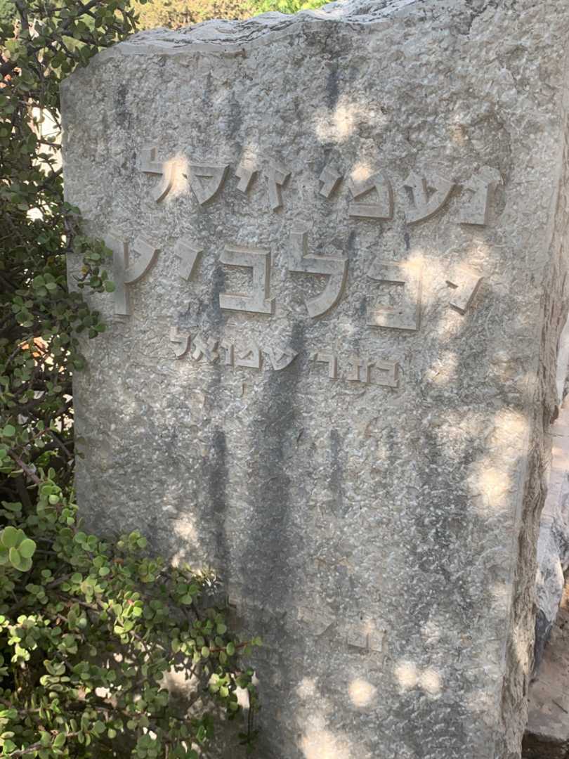 קברו של נעמי זיסל יכלביץ