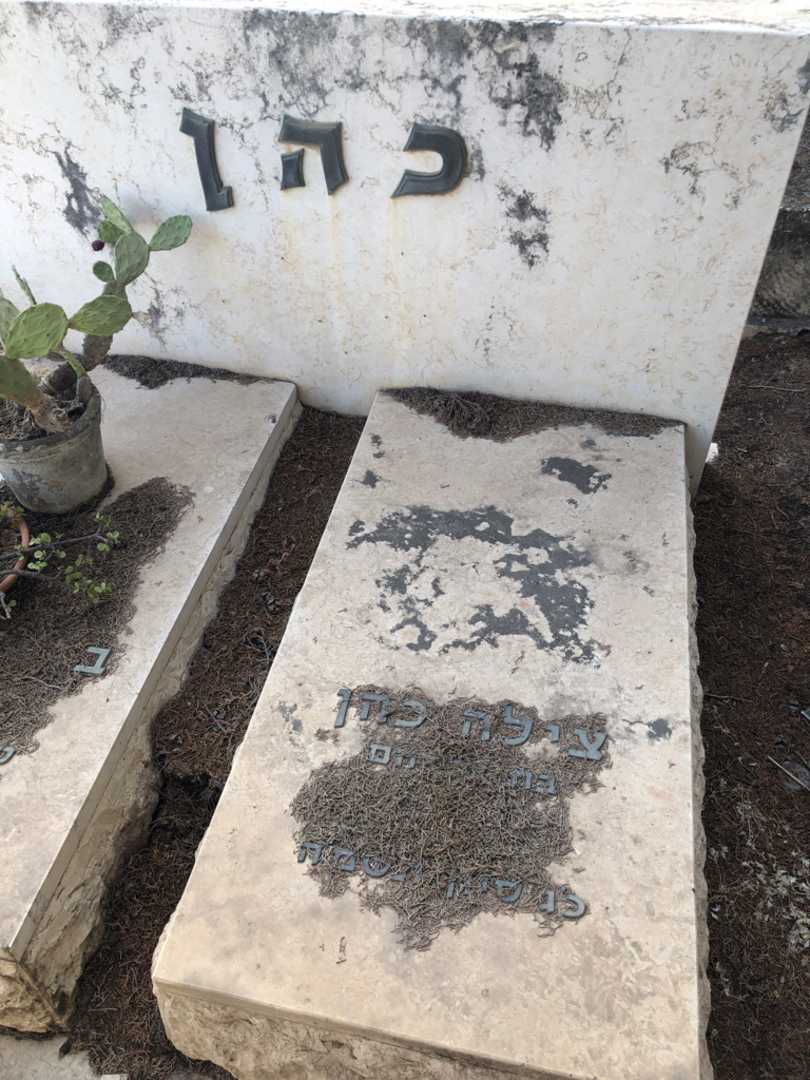 קברו של צילה כהן. תמונה 1