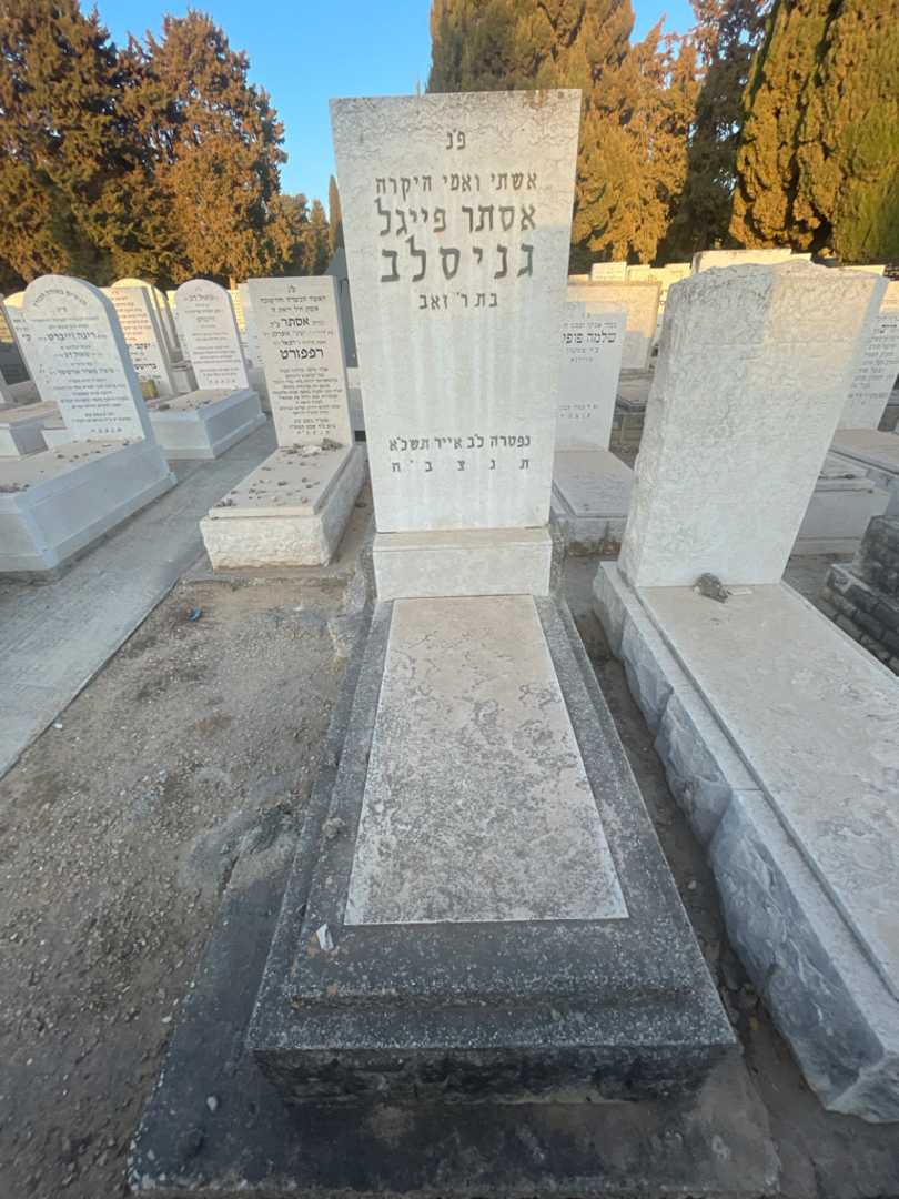קברו של אסתר פייגל גניסלב