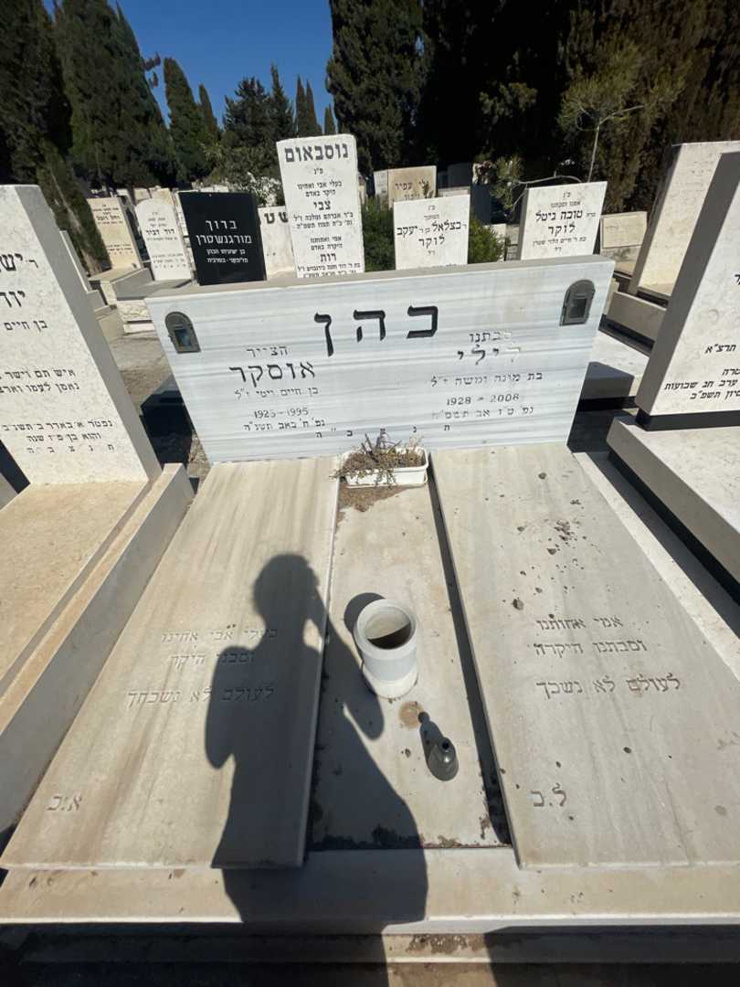 קברו של אוסקר כהן. תמונה 1