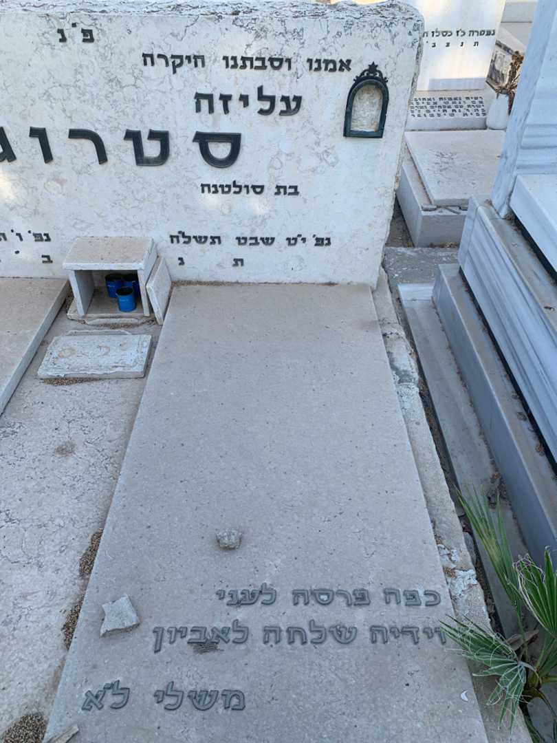 קברו של עליזה סטרוגו. תמונה 2